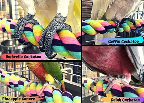 Birds LOVE Cotton Rope Comfy Cable Perches for Birds 30.5" Length – For African Greys, Amazons, Eclectus, Macaws, Cockatoos and Similar Birds – 2 Pack