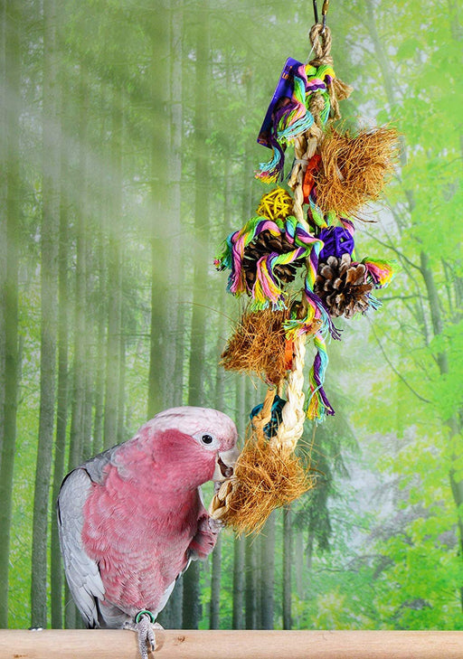 Birds LOVE Natural Hanging Chewing Parrot Stand Toy of Woven Straw w Small Wicker Ball, Pinecones, and More for Extra Bird Cage Fun for Cockatiels Conures Caiques Cockatoo Grey
