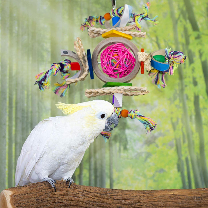 Birds LOVE Bird Toy Paper Rope, Cotton Rope, Vine Ball Stuffed w Confetti, Woven Grass, Cardboard Bagel Rings, Wood and Plastic forms for Medium Birds