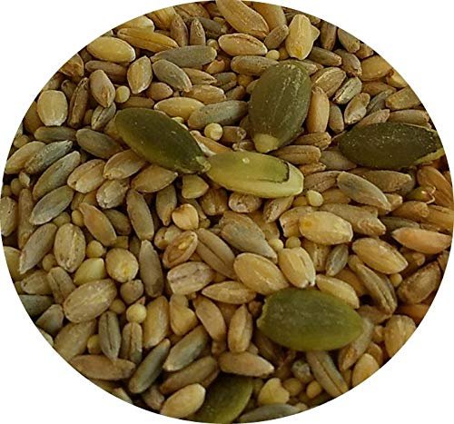 TOP's Parrot Food All in One Seed Mix - Large Birds Non-GMO/Peanut/Soy/Corn 5lb