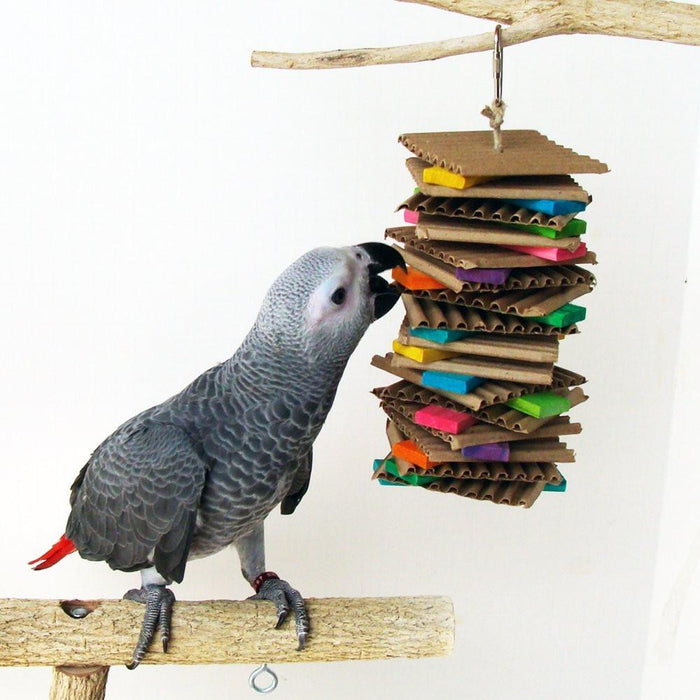 Choosing The BEST Toys For Your Pet Bird!