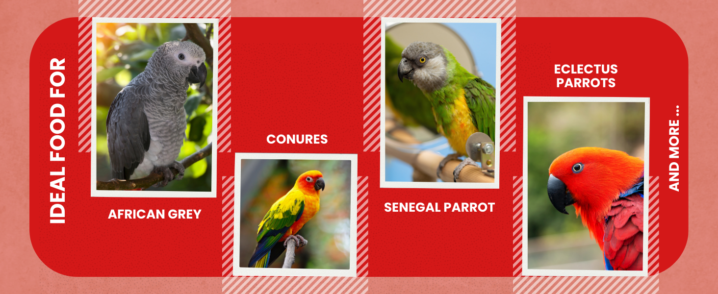 ABBA 1400 Premium Bird Food info