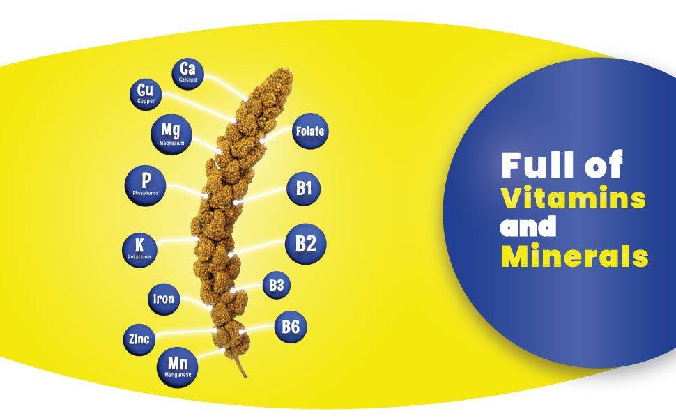 Birds LOVE French Kissed Spray Millet for Birds - info