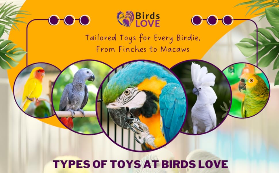 Birds LOVE Wood Stars & Leather Toy info