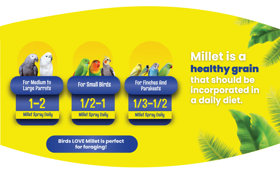 Birds LOVE Economy & Special Spray Millet info