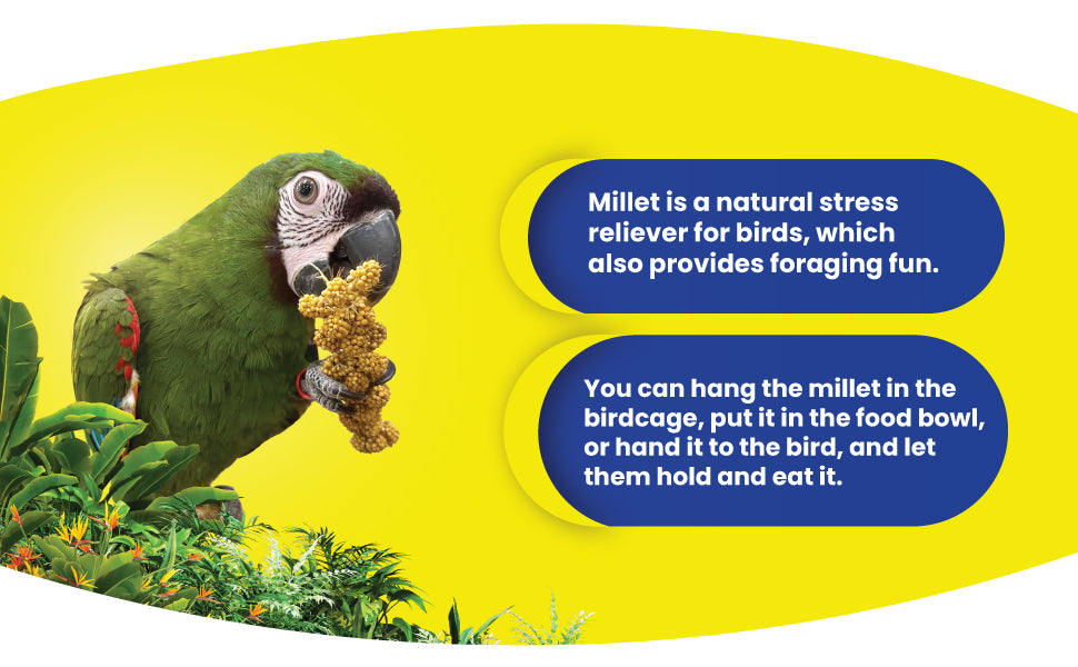 Birds LOVE Economy & Special Spray Millet info