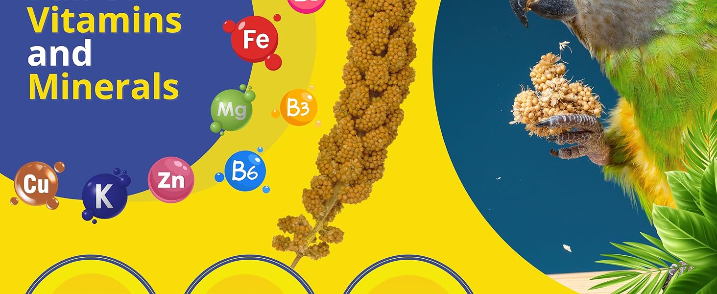 Birds LOVE Spray Millet info