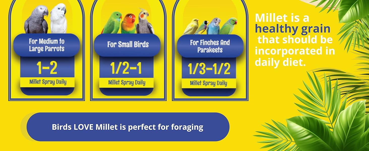 Birds LOVE Spray Millet info