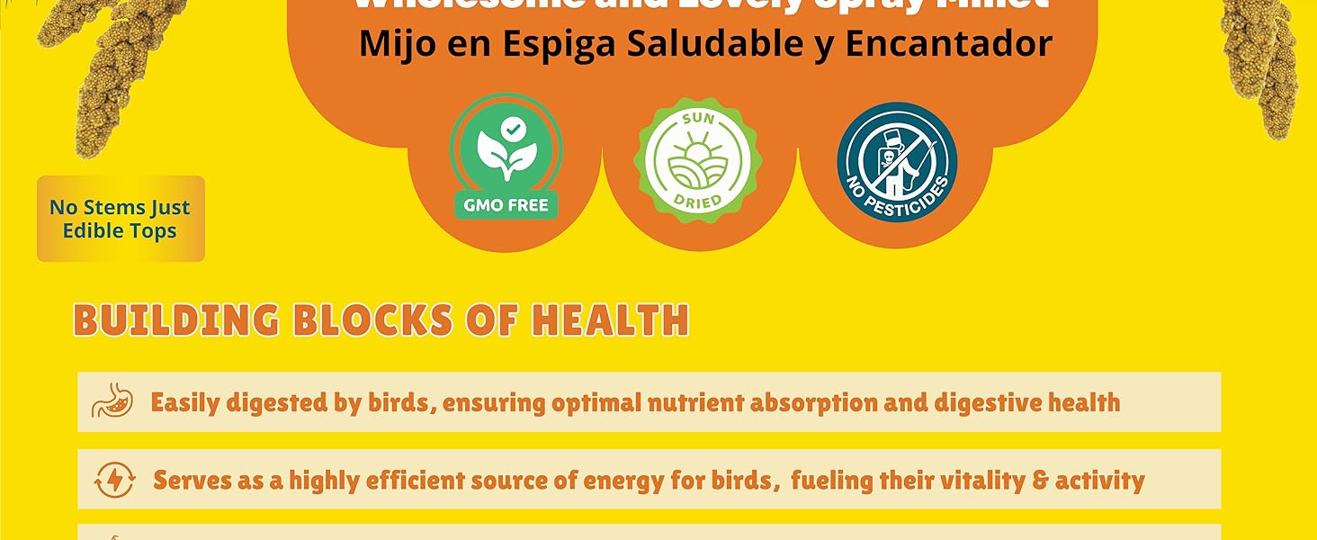 Birds LOVE Spray Millet – 1 lb GMO-Free, No Stems - info