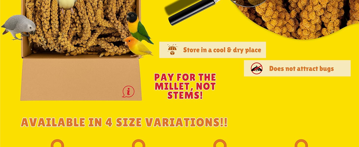 Birds LOVE Spray Millet – 1 lb GMO-Free, No Stems - info