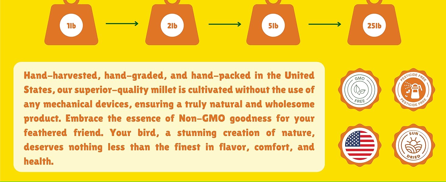 Birds LOVE Spray Millet – 1 lb GMO-Free, No Stems - info