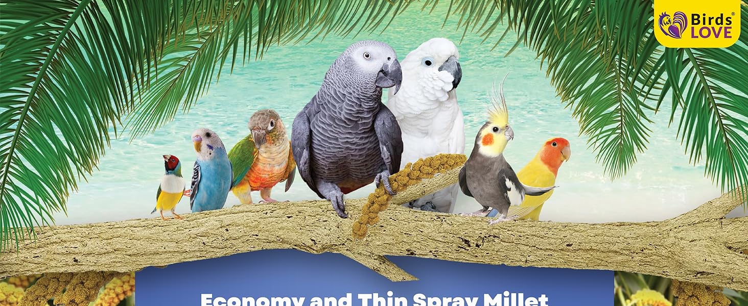 Birds LOVE Economy Special Spray Millet Info