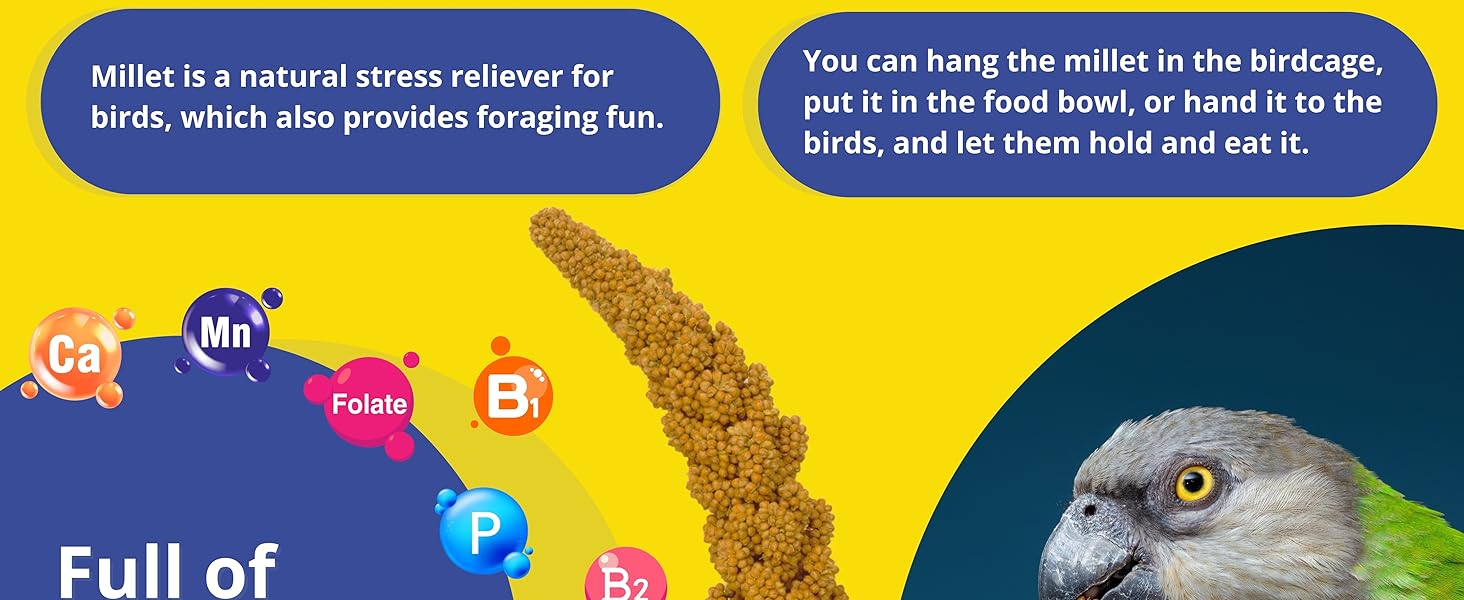 Birds LOVE Economy Special Spray Millet Info
