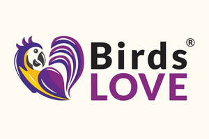 𝗛𝗲𝗮𝗹𝘁𝗵𝘆 𝗙𝗼𝗼𝗱. 𝗦𝗮𝗳𝗲 𝗧𝗼𝘆𝘀. 𝗛𝗮𝗽𝗽𝘆 𝗕𝗶𝗿𝗱𝘀.