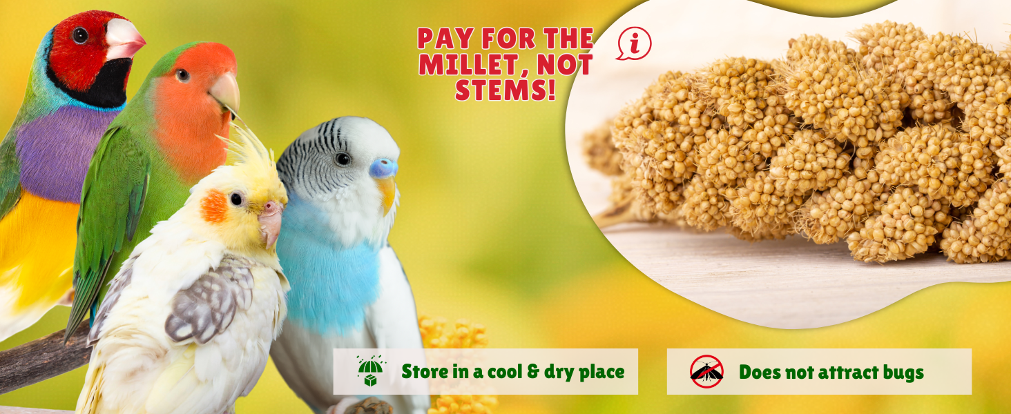 Nemeth Farms Premium Non-GMO Spray Millet Treat info