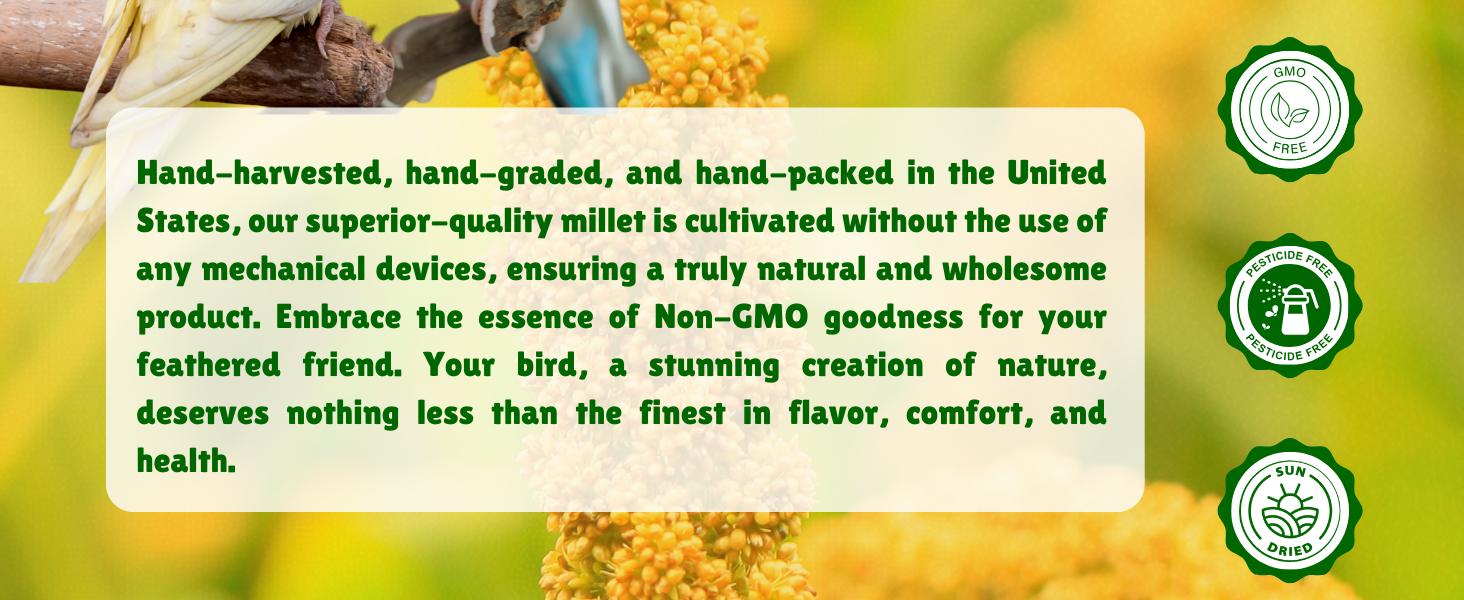 Nemeth Farms Premium Non-GMO Spray Millet Treat info