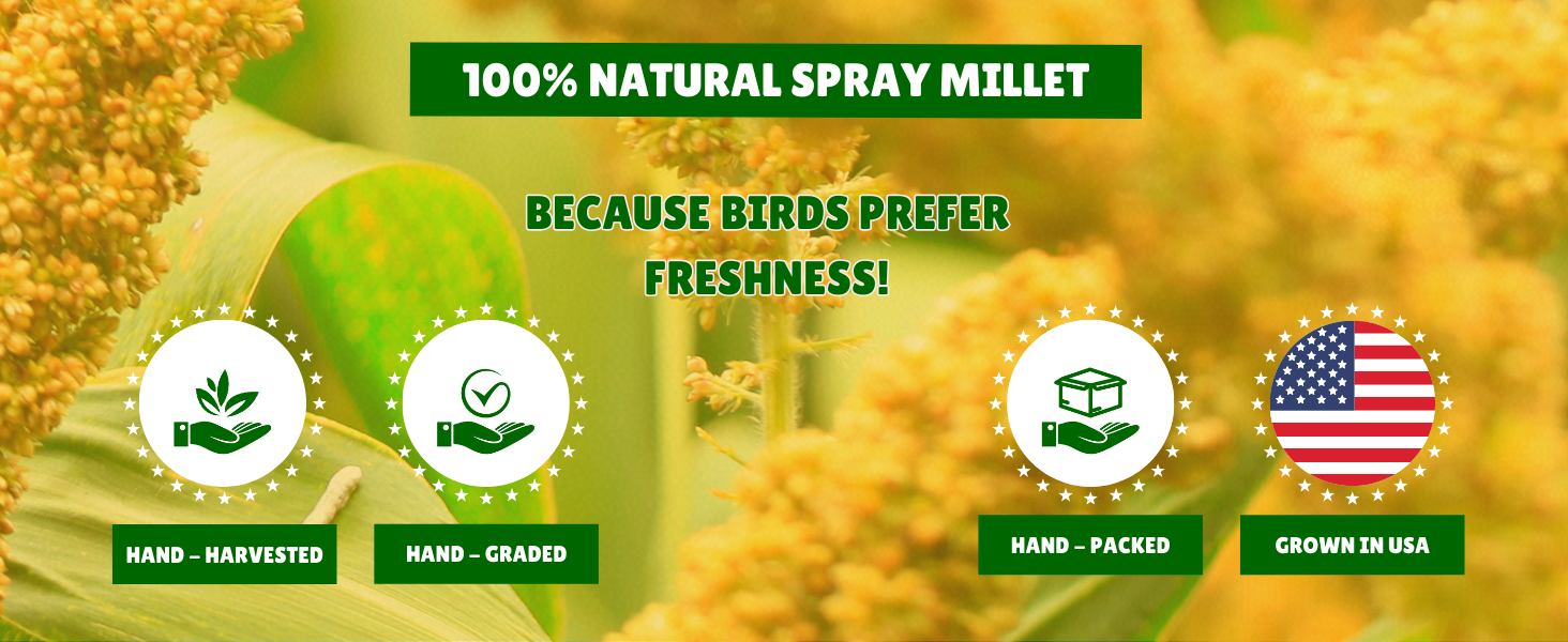 Nemeth Farms Premium Non-GMO Spray Millet Treat info