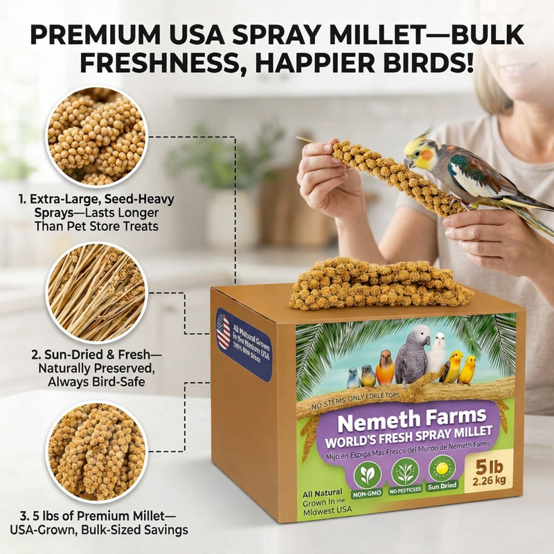 USA Grown Spray Millet for Birds – Midwest Harvest, 5 lb Premium Natural Non - GMO Whole Millet Sprays for Parakeets, Cockatiels, Budgies, Conures, Lovebirds, Finches & Parrots