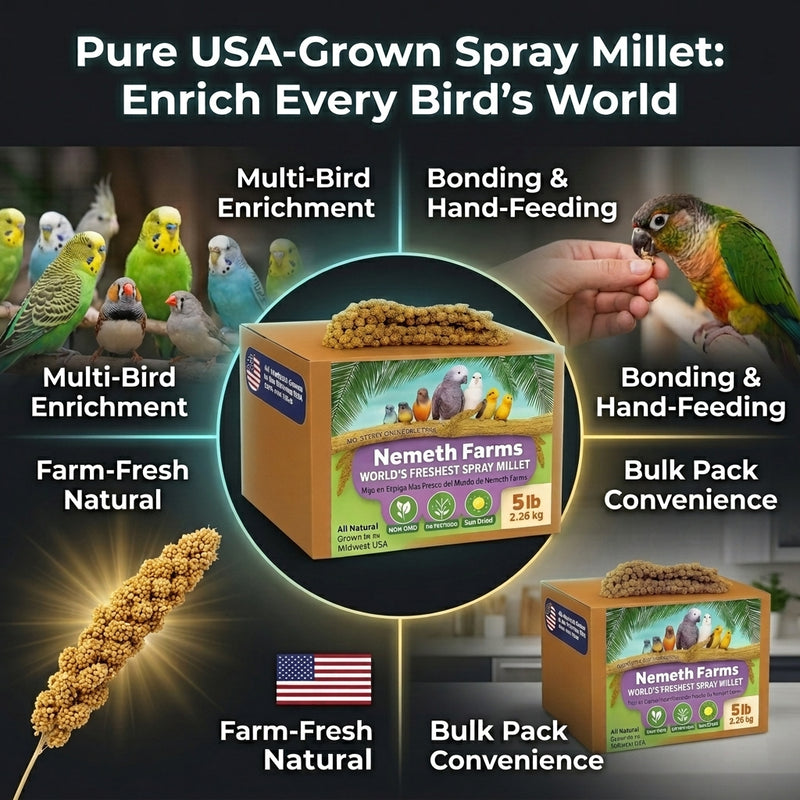 USA Grown Spray Millet for Birds – Midwest Harvest, 5 lb Premium Natural Non - GMO Whole Millet Sprays for Parakeets, Cockatiels, Budgies, Conures, Lovebirds, Finches & Parrots