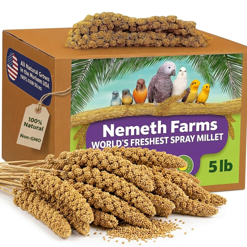USA Grown Spray Millet for Birds – Midwest Harvest, 5 lb Premium Natural Non - GMO Whole Millet Sprays for Parakeets, Cockatiels, Budgies, Conures, Lovebirds, Finches & Parrots