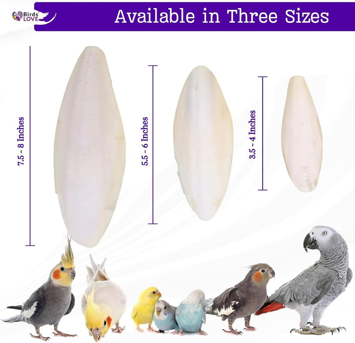 Birds LOVE Natural Cuttlebone for Birds Parakeet & All Breeds| Cuttlebone for Tortoise & Snails | Calcium Block for Birds Alternative | 3.5 to 4" Cuttlefish Bone - 12 Packs of 2 (24 pcs cuttlebones)