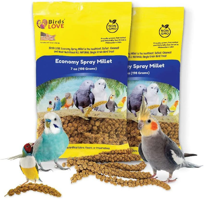 Birds LOVE Economy & Thin Special Spray Millet GMO-Free No Pesticides (No Stems Only Edible Tops) for Birds Cockatiel Lovebird Parakeet Finch Canary All Parrots Healthy Treat - 7oz