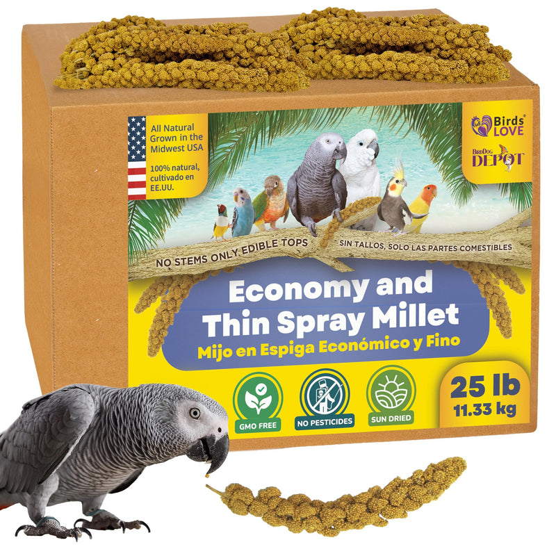 Birds LOVE Economy Special Spray Millet GMO-Free (No Stems Only Edible Tops) for Birds Cockatiel Lovebird Parakeet Finch Canary All Parrots Healthy Treat - 25lbs