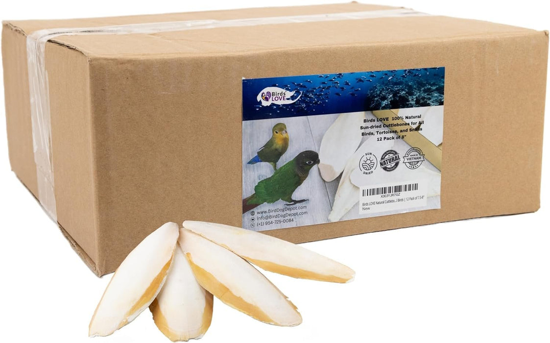 Birds LOVE Natural Cuttlebone – Premium Calcium & Trace Mineral Supplement for Avian Species, Tortoises, and Snails – Pure Cuttlebone for Parakeets, Cockatiels, and All Birds | 12 Pack of 7.5-8"