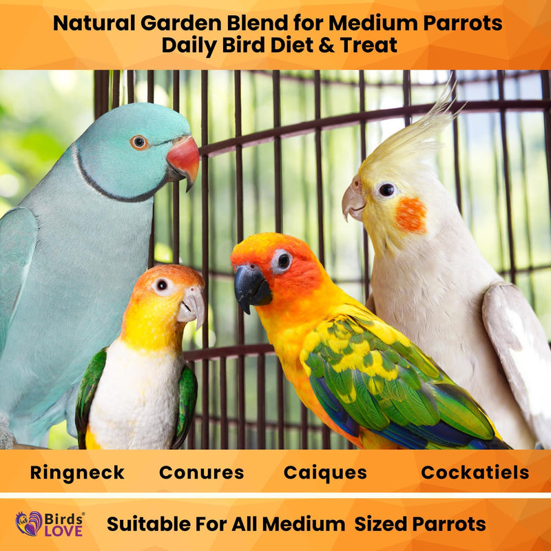 Birds LOVE Natural Garden Blend Bird Food for Small Birds, 4 lb Hand Packed in USA, All Natural Mix with Fruits, Nuts, Vegetables, Seeds & Grains for Lovebirds, Cockatiels, Budgies, Parakeets & Parrotlets