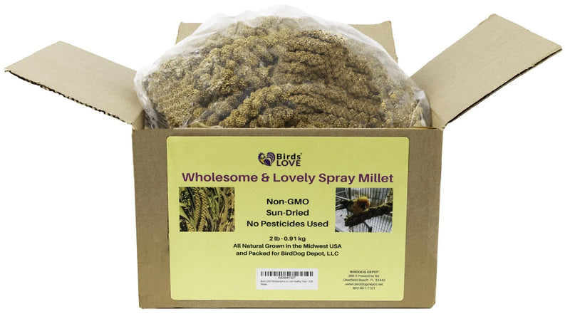 Birds LOVE Wholesome & Lovely Spray Millet Non-GMO for Birds Cockatiel Lovebird Parakeet Finch Canary All Parrots Healthy Treat - 2lbs