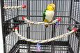 Birds LOVE Rope Comfy Cable Perches for Birds 23" Length - Perfect for Cockatiels Conures Caiques Senegals Quakers and Similar Size Birds