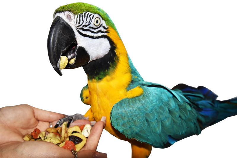 Birds LOVE Natural Garden Blend Bird Food for Small Birds, 4 lb Hand Packed in USA, All Natural Mix with Fruits, Nuts, Vegetables, Seeds & Grains for Lovebirds, Cockatiels, Budgies, Parakeets & Parrotlets
