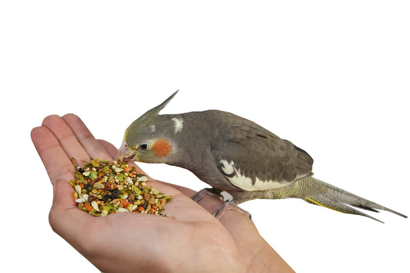 Birds LOVE Natural Garden Blend Bird Food for Small Birds, 4 lb Hand Packed in USA, All Natural Mix with Fruits, Nuts, Vegetables, Seeds & Grains for Lovebirds, Cockatiels, Budgies, Parakeets & Parrotlets