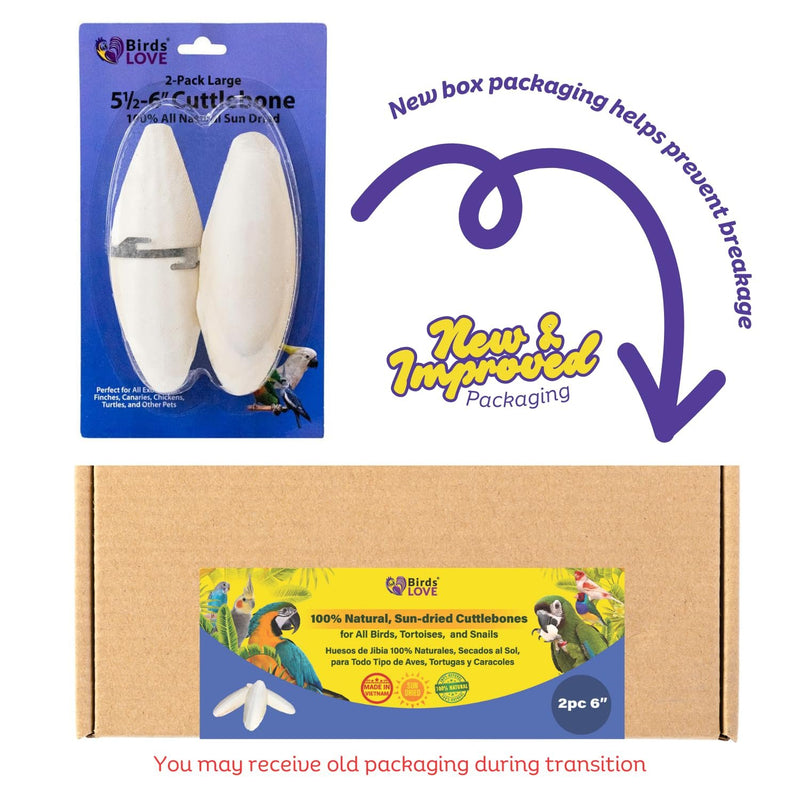 Birds LOVE Natural Cuttlebone | 100% Pure Sun-Dried Calcium Supplement for Birds, Tortoises, Snails & Crabs | Supports Beak & Shell Health | Easy to Chew | 2 Pack, Size 5.5 to 6"