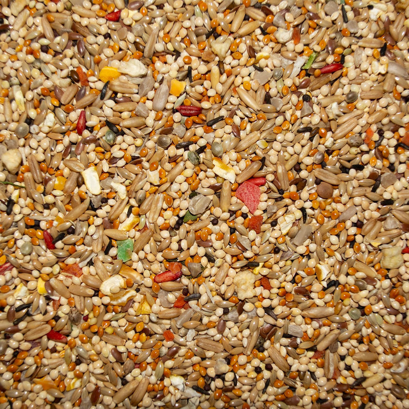 Volkman Avian Science Super Parakeet Bird Food