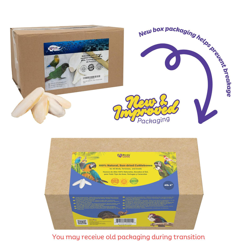Birds LOVE Natural Cuttlebone – Premium Calcium for Cockatiel, Parrots, Tortoise, Snails, Crabs and Chinchillas - Pure Cuttlebone for Birds - Parakeet Food and Bird Treats - 4lb, Size 3.5 to 4"