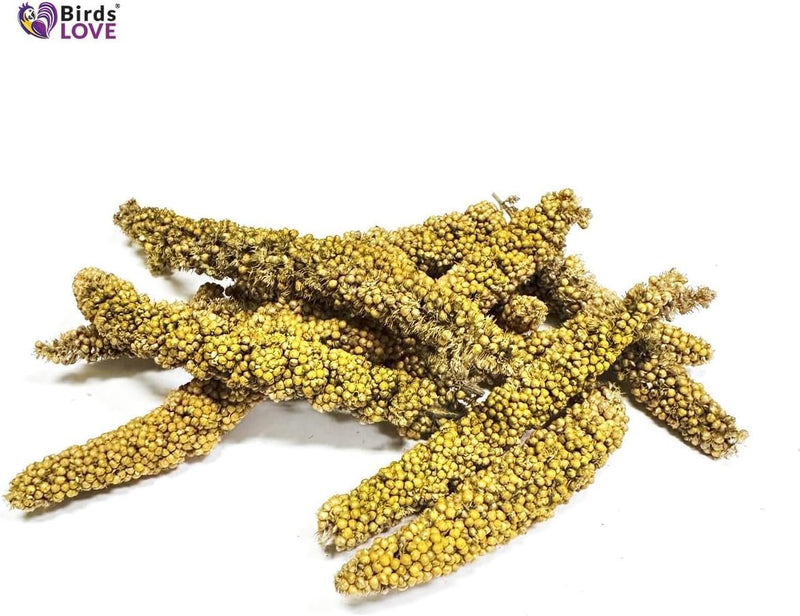 Birds LOVE Millet Tips & Tails for Birds - Parakeets, Cockatiels, Lovebirds, Budgies, Canaries, Cockatoos - Natural & Healthy Millet for Birds, Parakeet Food & Treats for all Parrots, 5oz (Pack of 94)