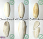 Birds LOVE 1-Pack 8" Cuttlebone for Cockatiels Parakeets Budgies Finches Canaries Lovebirds Small Conures Mynahs Toucans African Greys All Parrots