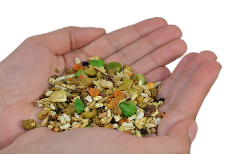 Birds LOVE All Natural Garden Blend Bird Food for Conures - Sunflower Free 4lb