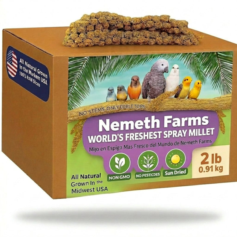 USA Grown Spray Millet for Birds–Midwest Harvest, 2 lb Premium Natural Non-GMO Whole Millet Sprays for Parakeets, Cockatiels, Budgies, Conures, Lovebirds, Finches & Parrots