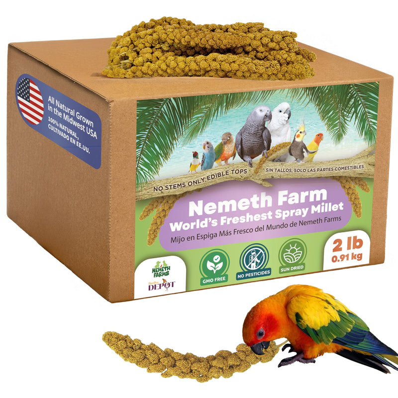 Nemeth Farms–Natural Sun Dried Millet Spray for Pet Birds–Bulk Parrot Seed Treats and Parrot Food–Natural Non GMO Millet Spray–Cockatiels Lovebirds Parakeet 2 lbs.