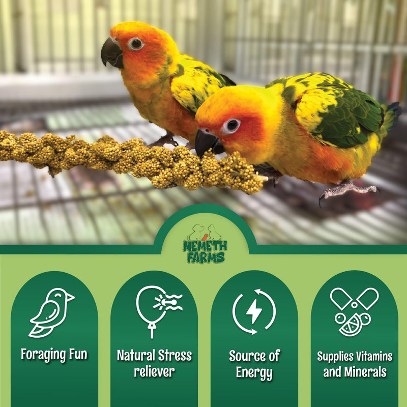 Nemeth Farms Premium Non-GMO Spray Millet Treat | Hand-Harvested Bird Snack | 100% Edible Tops | Sun-Dried Supplement for Parakeets, Cockatiels, Finches, Lovebirds, Canaries