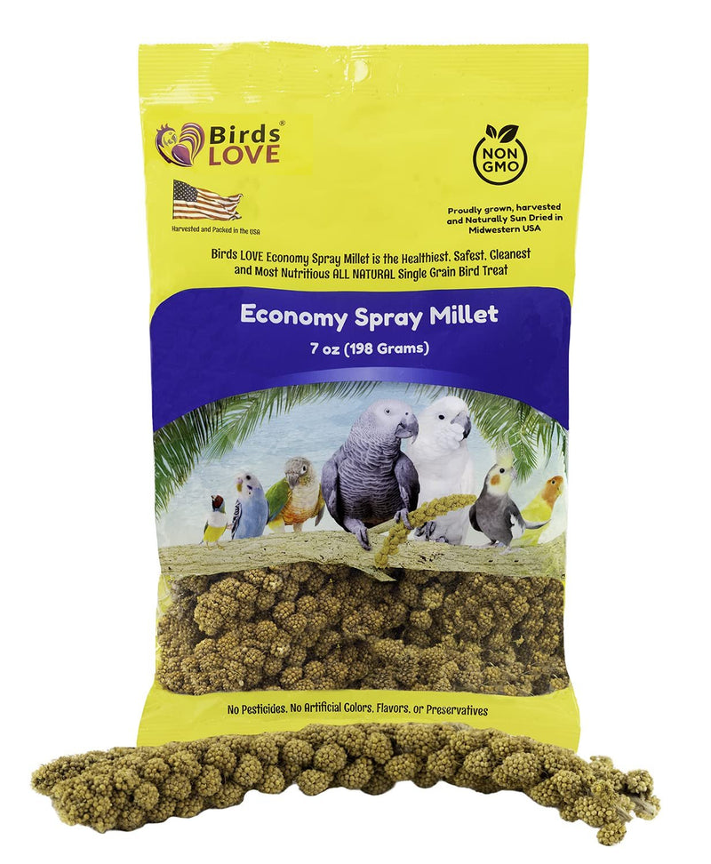 Birds LOVE Economy Special Spray Millet GMO-Free (No Stems Only Edible Tops) for Birds Cockatiel Lovebird Parakeet Finch Canary All Parrots Healthy Treat - 7oz