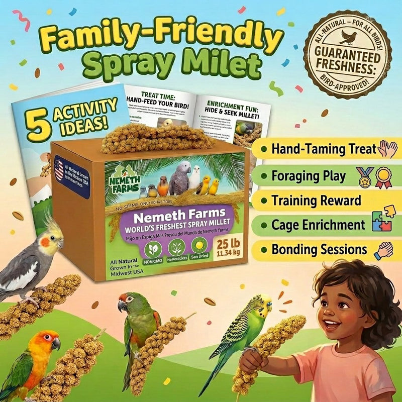 USA Grown Spray Millet for Birds – Midwest Harvest, 25 lb Premium Natural Non - GMO Whole Millet Sprays for Parakeets, Cockatiels, Budgies, Conures, Lovebirds, Finches & Parrots