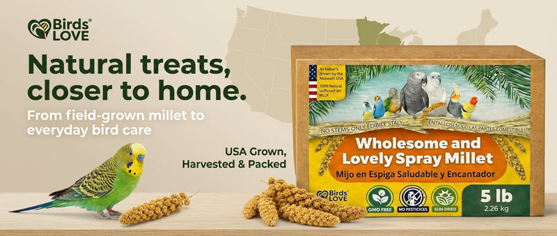 Birds LOVE 25 LB Wholesome Spray Millet for Birds USA Grown, Natural Sun Dried
Millet Sprays Thick Clusters for Parakeets, Budgies, Cockatiels, Conures, Finches &
Parrots