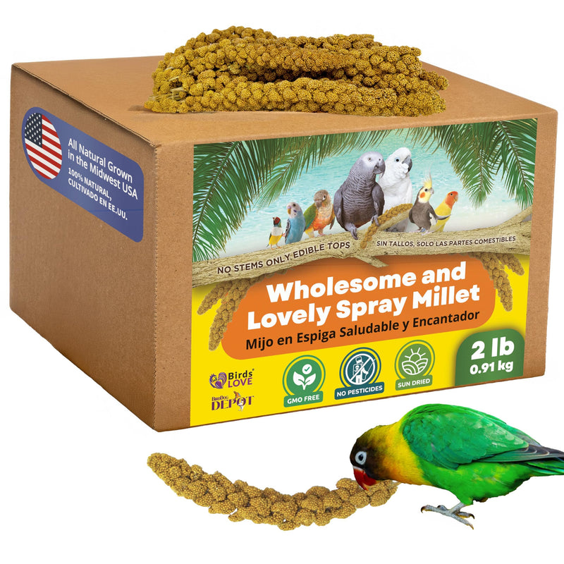Birds LOVE Wholesome & Lovely Spray Millet Non-GMO for Birds Cockatiel Lovebird Parakeet Finch Canary All Parrots Healthy Treat - 2lbs