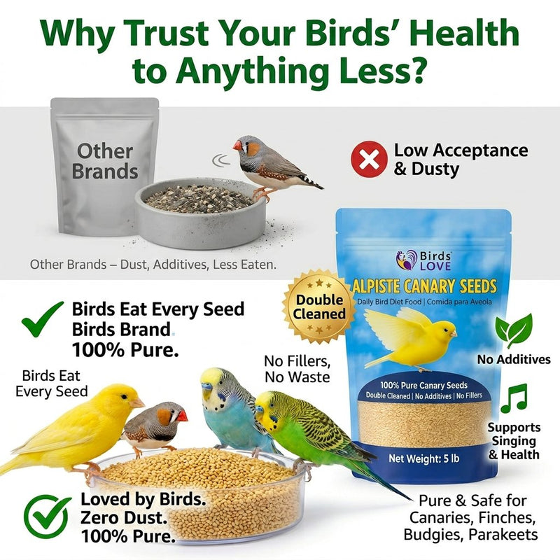 Birds LOVE Alpiste Canary Seed – 100% Pure, Non-GMO, Double Cleaned Food for Canaries, Finches, Budgies & Parakeets – No Additives, Bird Feed, 5 lbs
