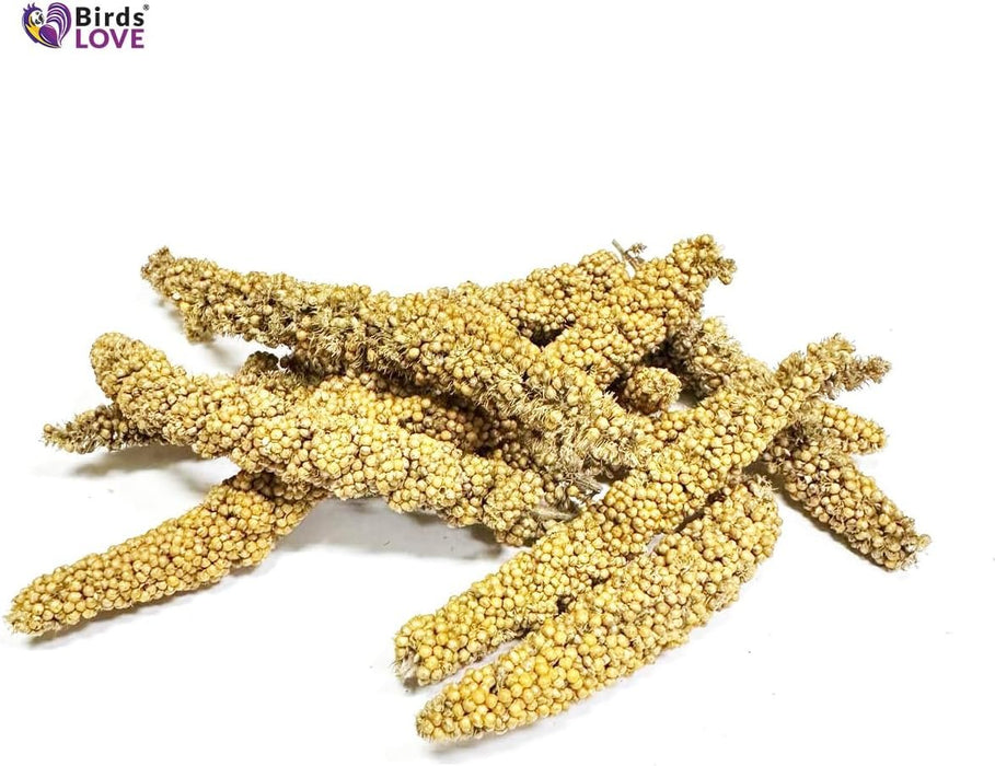 Birds LOVE Tips and Tails Millet for Birds - Healthy Bird Treat and Supplement for All Pet Birds Including Cockatiel, Lovebird, Finch, Canary and All Type of Parrots - Sun-Dried Parakeet Food, 1lb