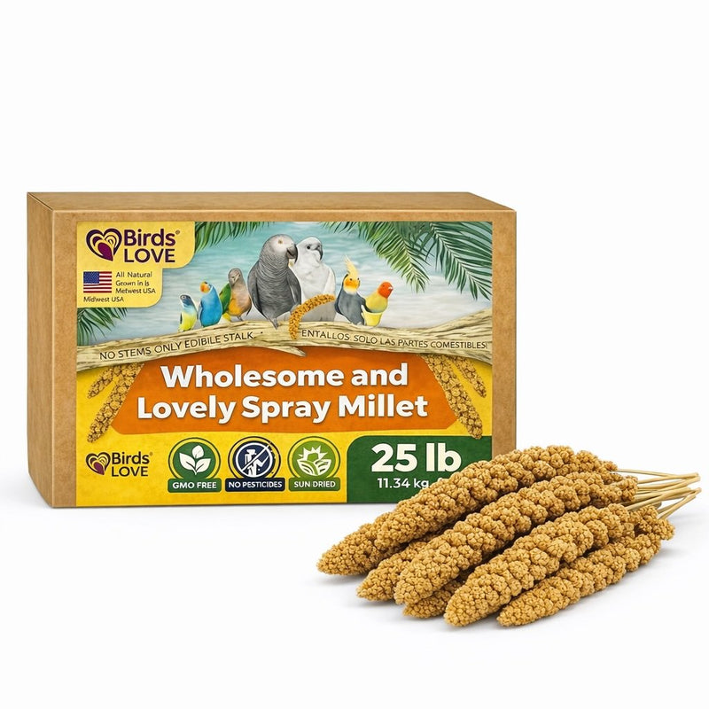 Birds LOVE 25 LB Wholesome Spray Millet for Birds USA Grown, Natural Sun Dried
Millet Sprays Thick Clusters for Parakeets, Budgies, Cockatiels, Conures, Finches &
Parrots