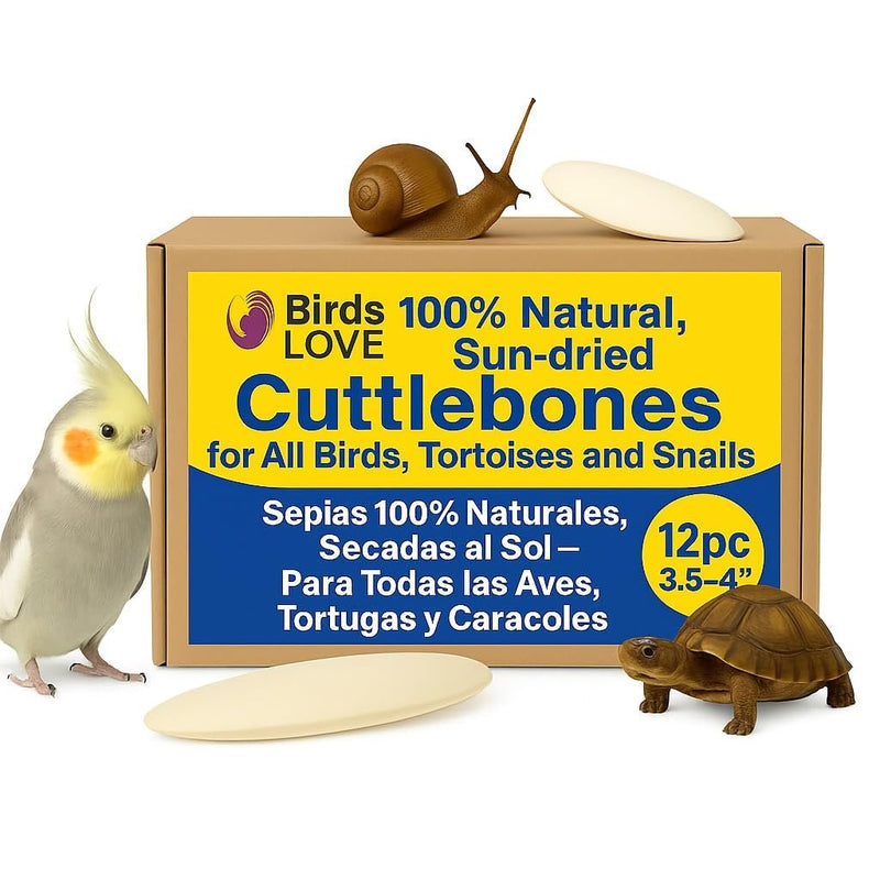 Birds LOVE Natural Cuttlebone – Premium Calcium & Trace Mineral Supplement for Avian Species, Tortoises, and Snails – Pure Cuttlebone for Parakeets and All Birds - 12 Pack, Size 3.5 to 4"